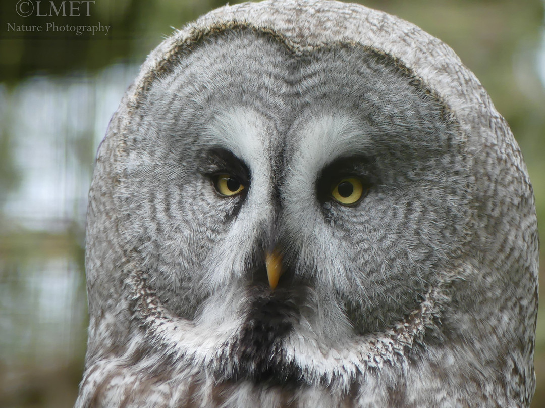World of Owls景点图片