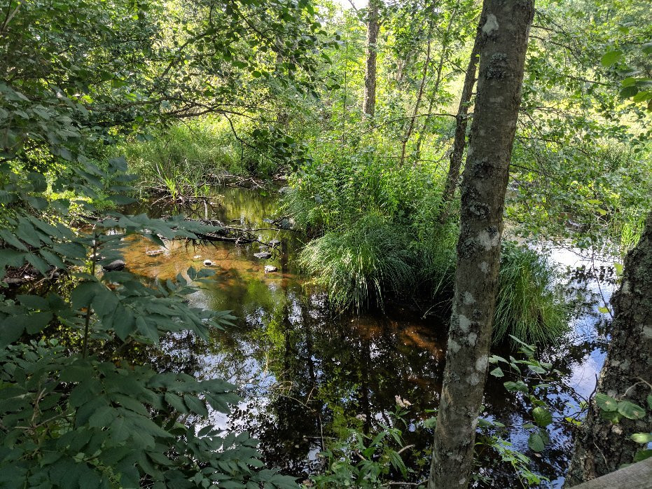Illharjens Naturreservat-Vetlanda必去景点