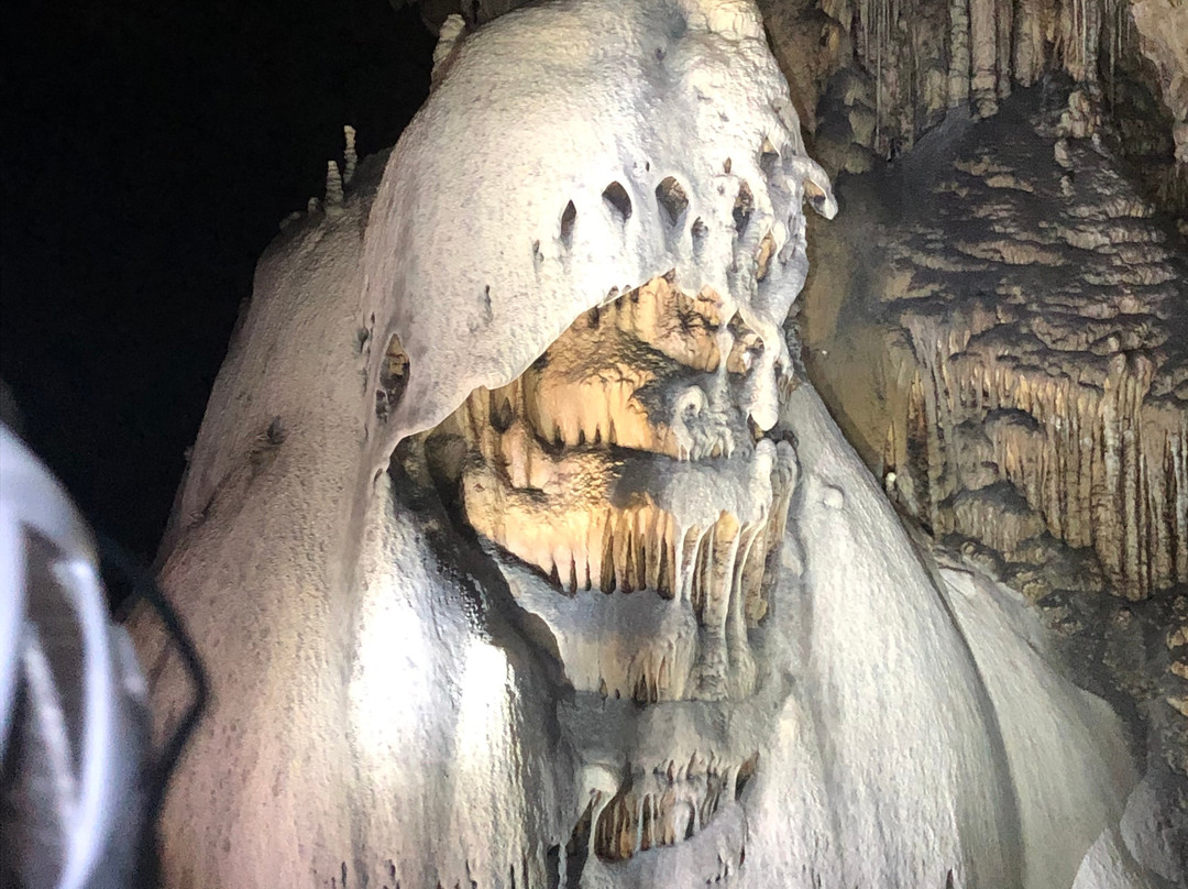 Slaughter Canyon Cave-卡尔斯巴德洞穴国家公园必去景点