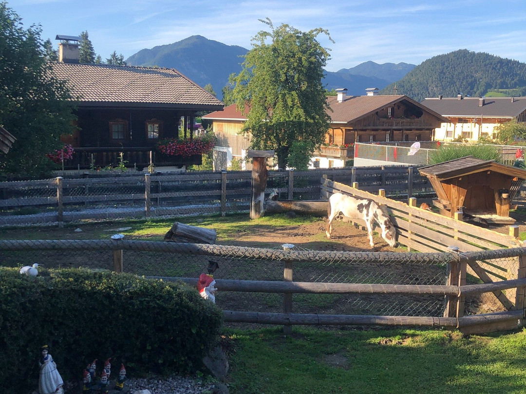 Alpbachtaler Kinderpark景点图片