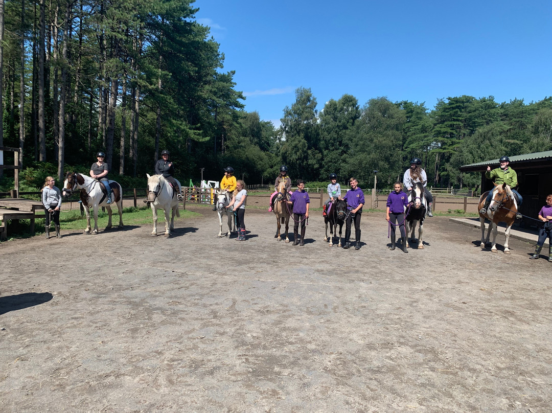 Pembrey Park Riding Centre景点图片