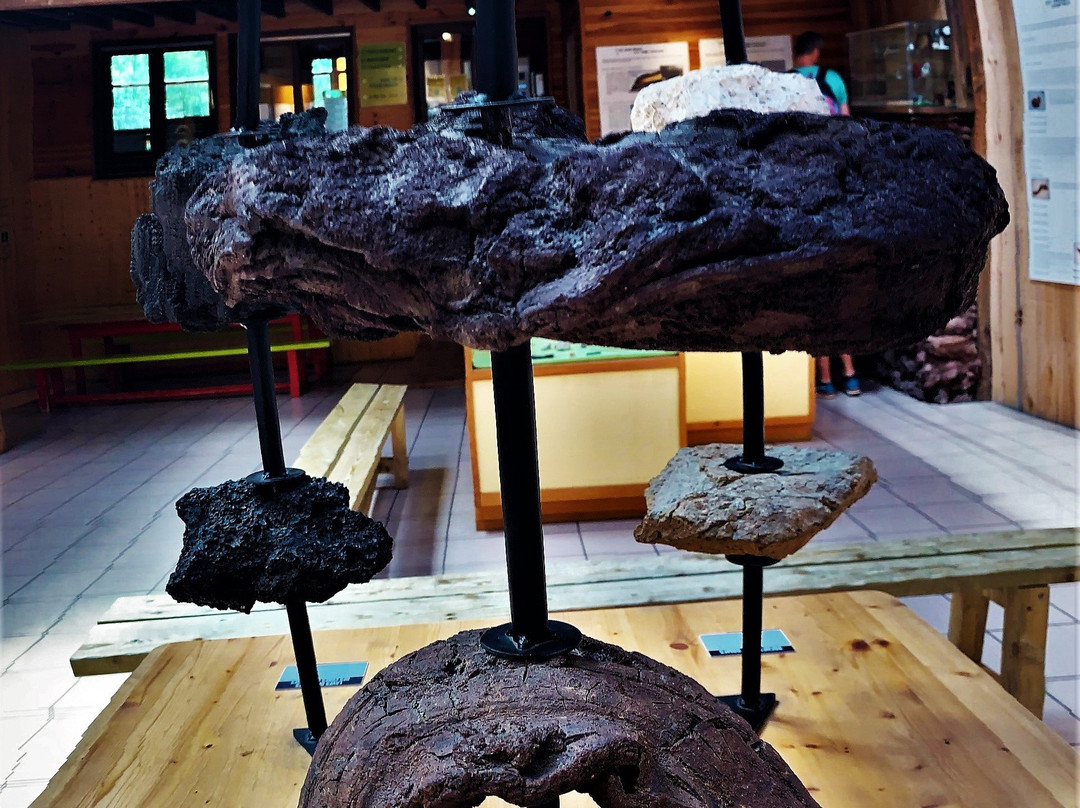 Volcan De Lemptégy景点图片