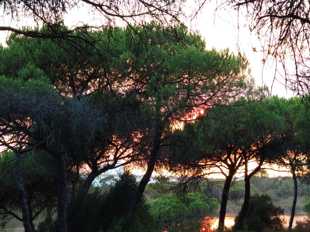 Reserva Natural Laguna de El Portil-El Portil必去景点