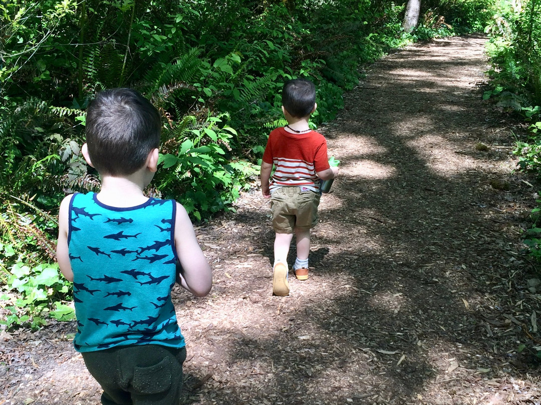 Mary S. Young Park-West Linn必去景点