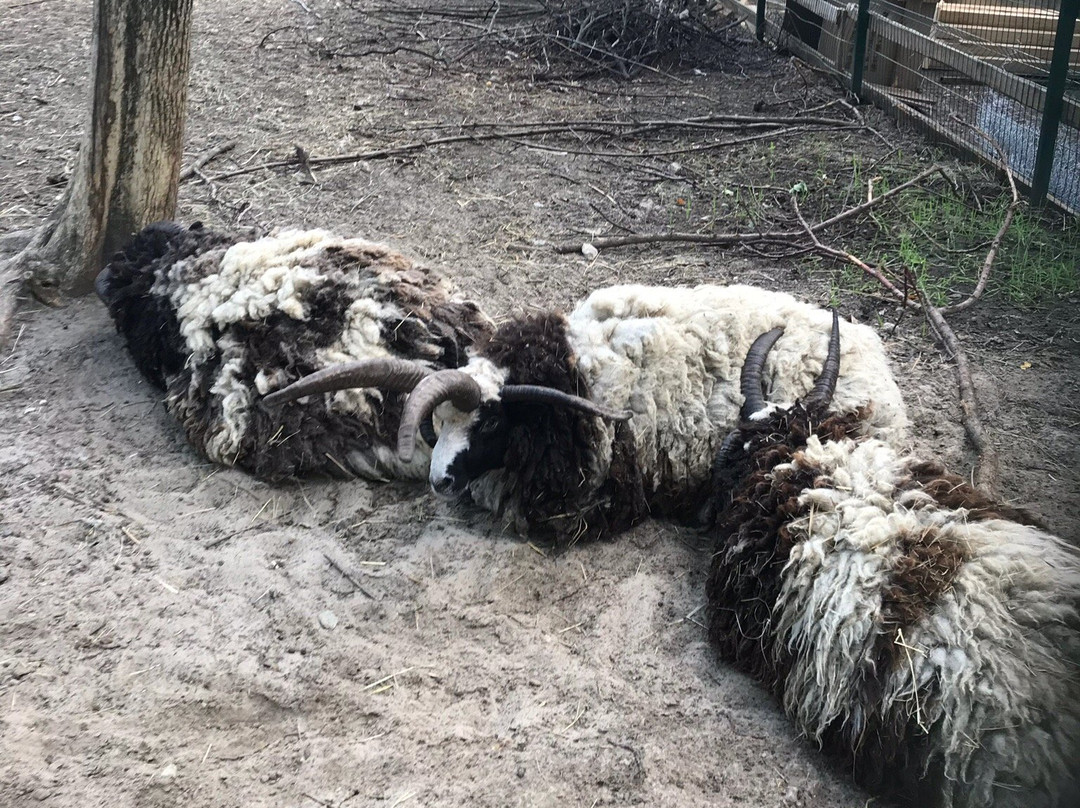 Kharkiv Zoo-哈尔科夫必去景点