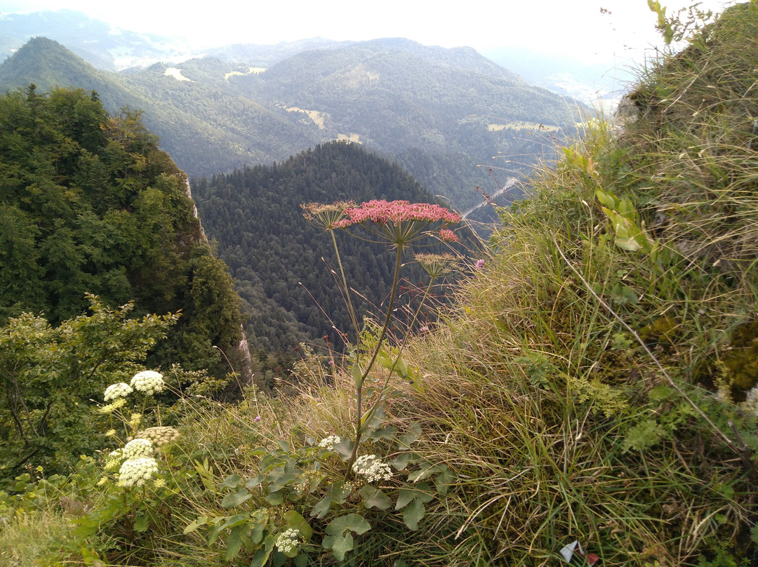 Hotel Nad Przelomem主图