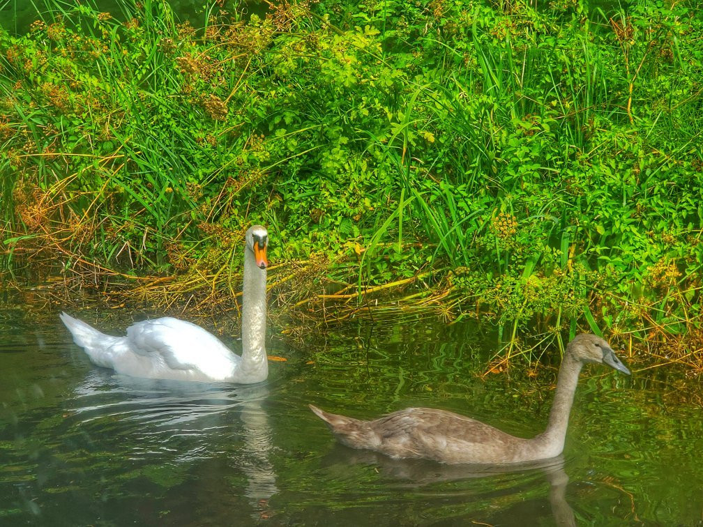 Kitty-沃金必去景点