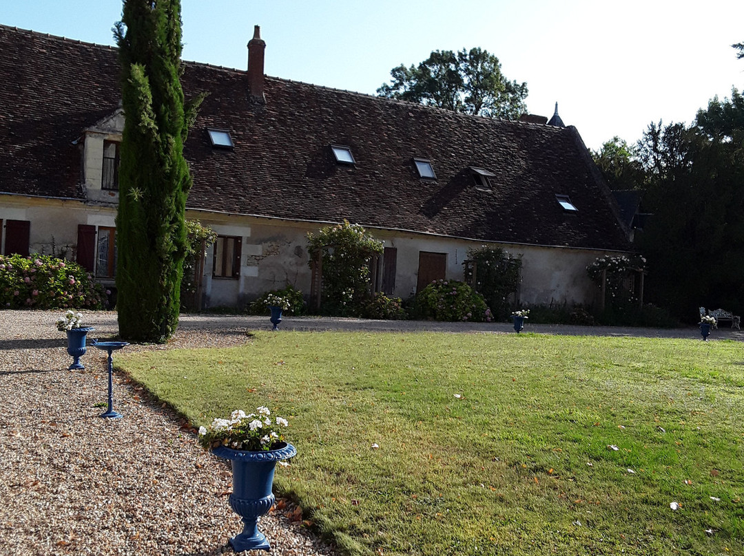 瑞泽城堡酒店主图