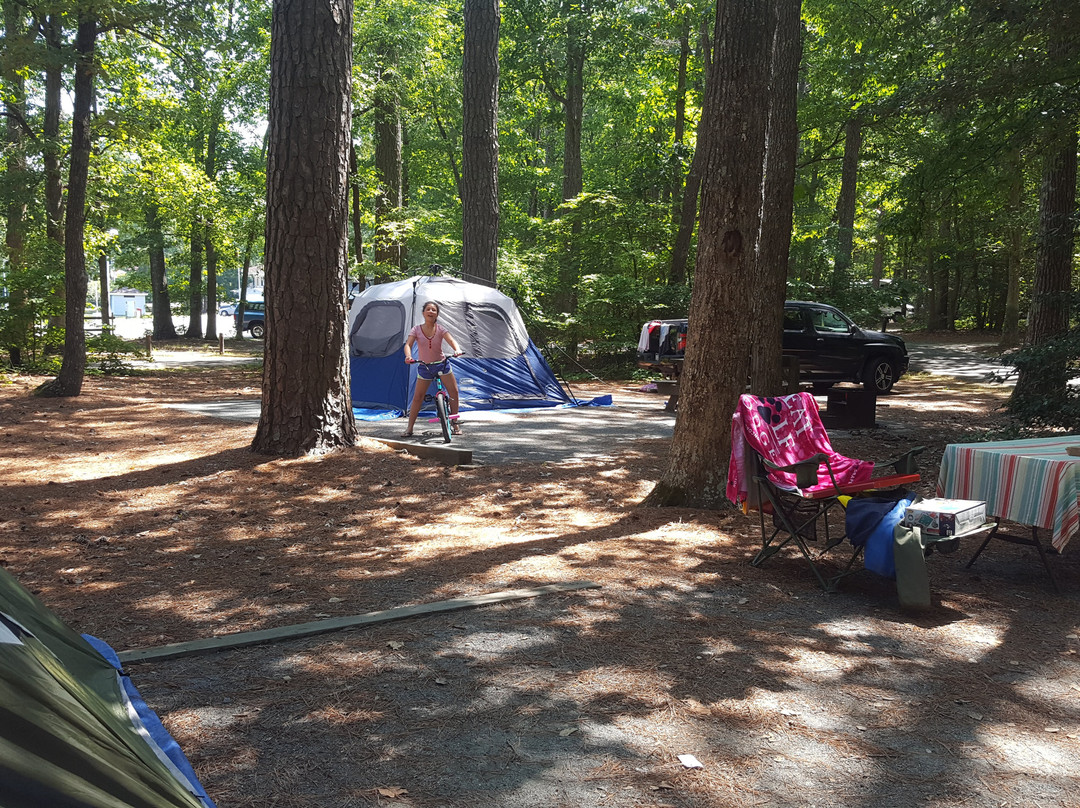Pocomoke River State Park-Snow Hill必去景点