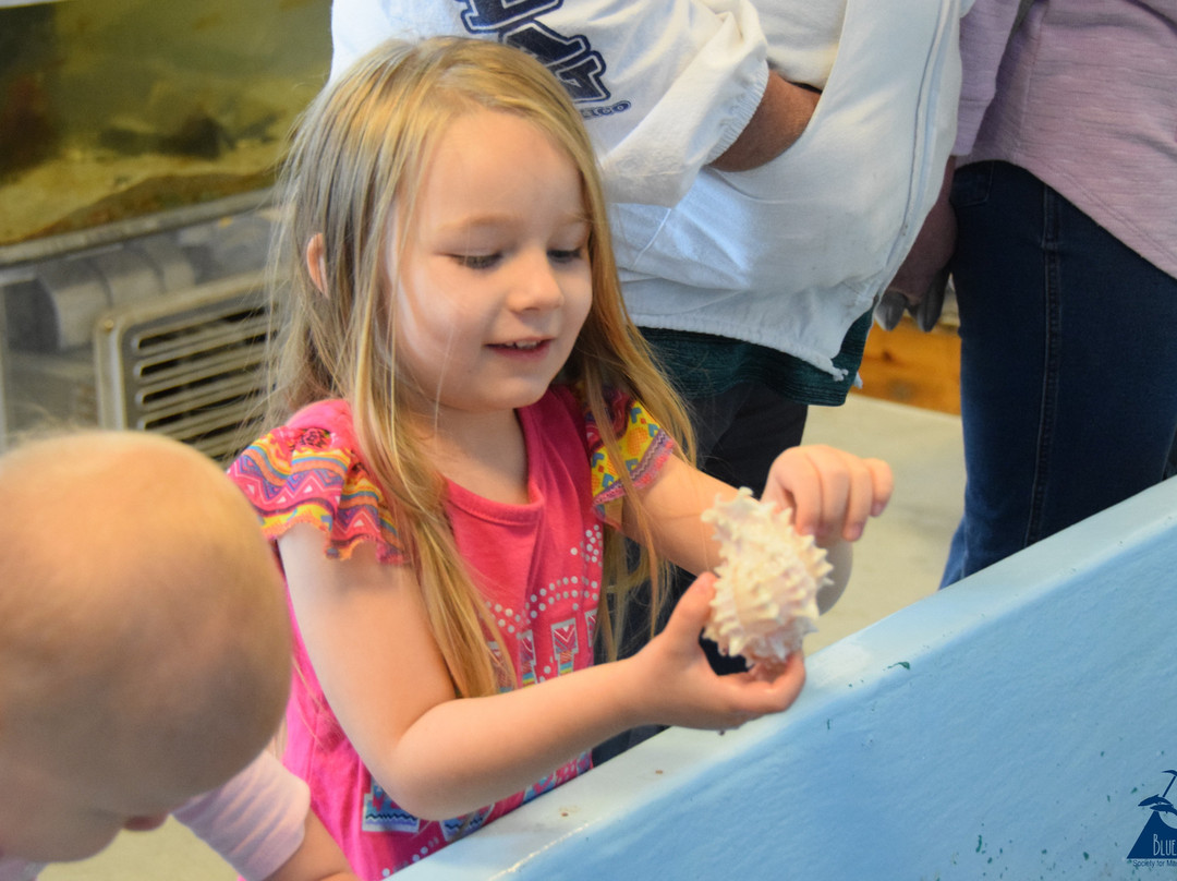 Blue Ocean Discovery Center-汉普顿必去景点