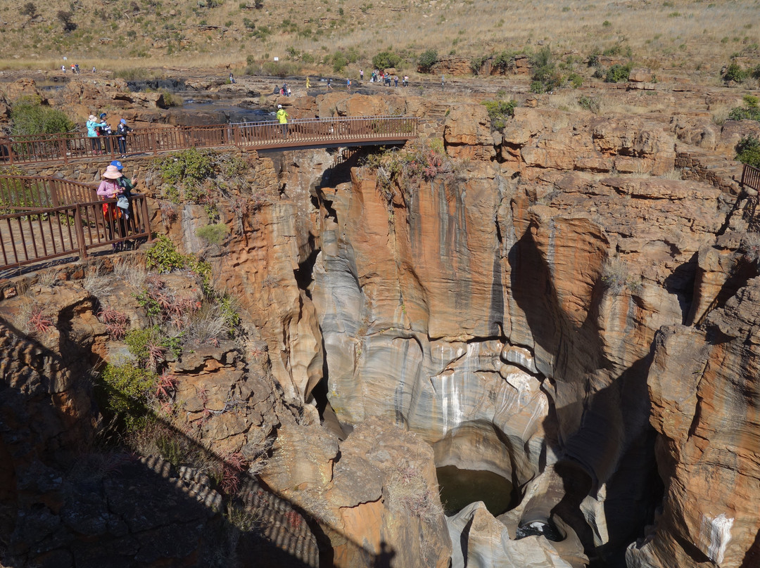 Big Six Tour Safaris-约翰内斯堡必去景点