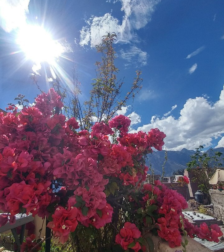 Hotel Kuntur Wassi主图