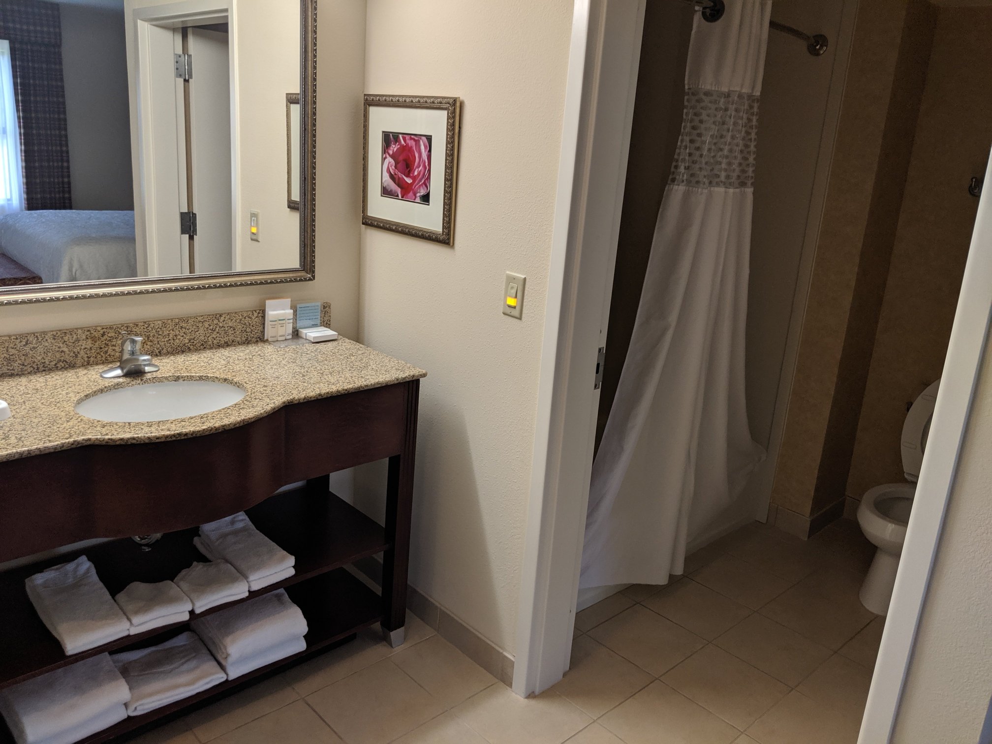 Hampton Inn & Suites Dobson-浴室