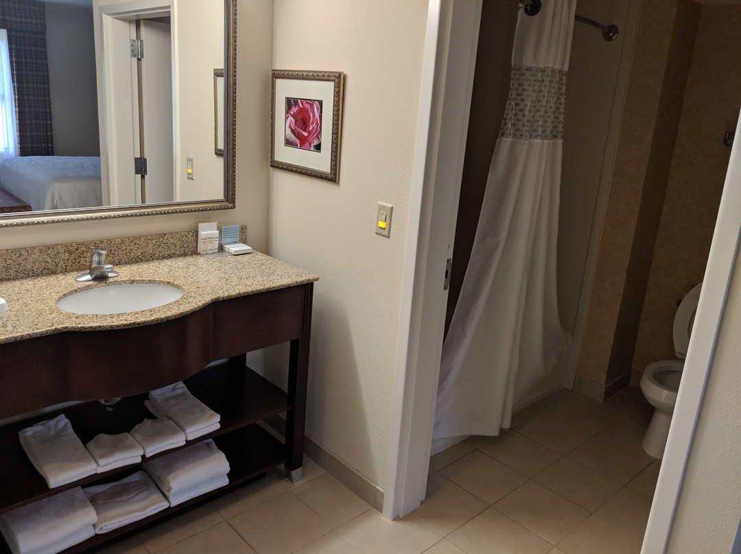 Hampton Inn & Suites Dobson主图