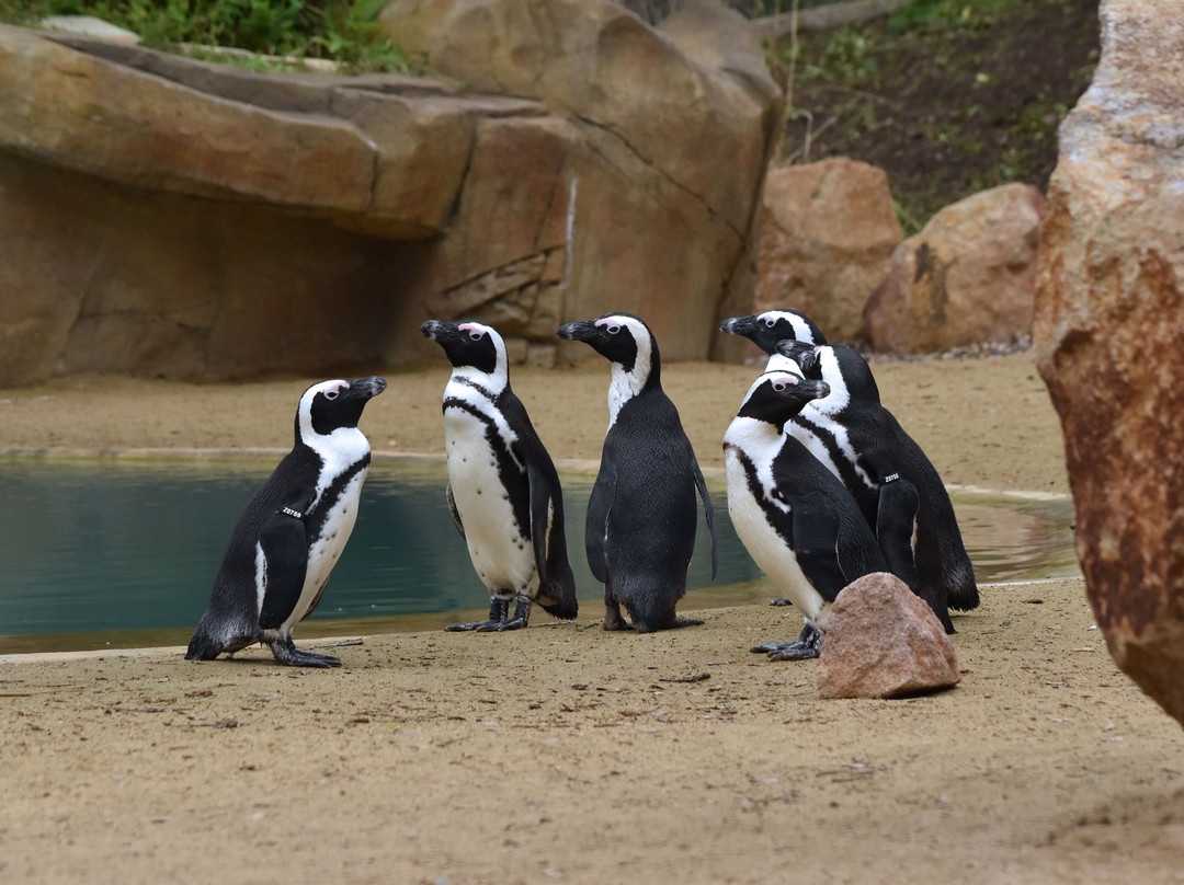 Usti Nad Labem Zoo