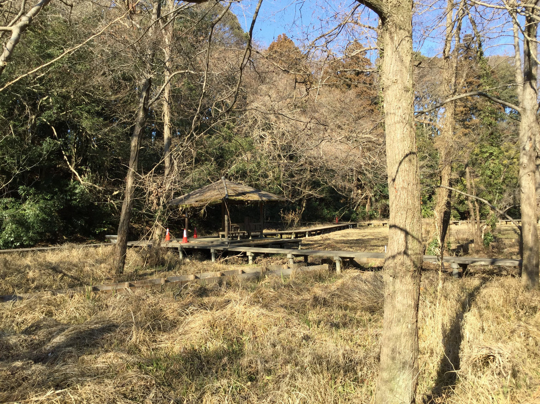 Omachi Park-市川市必去景点