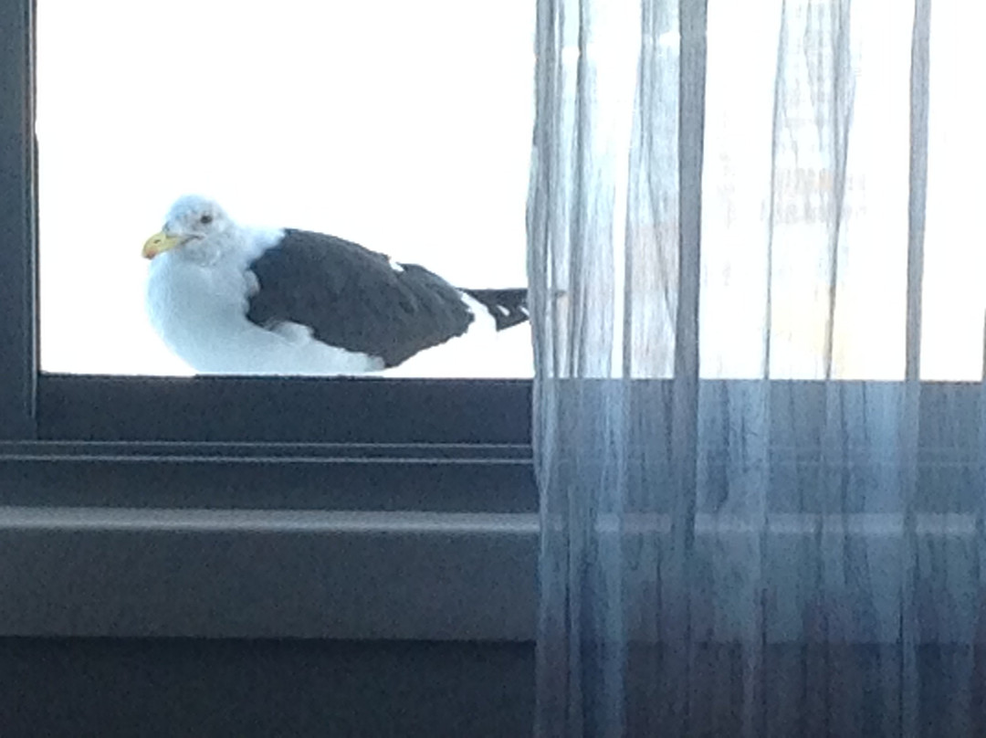 Beacon Island Resort主图