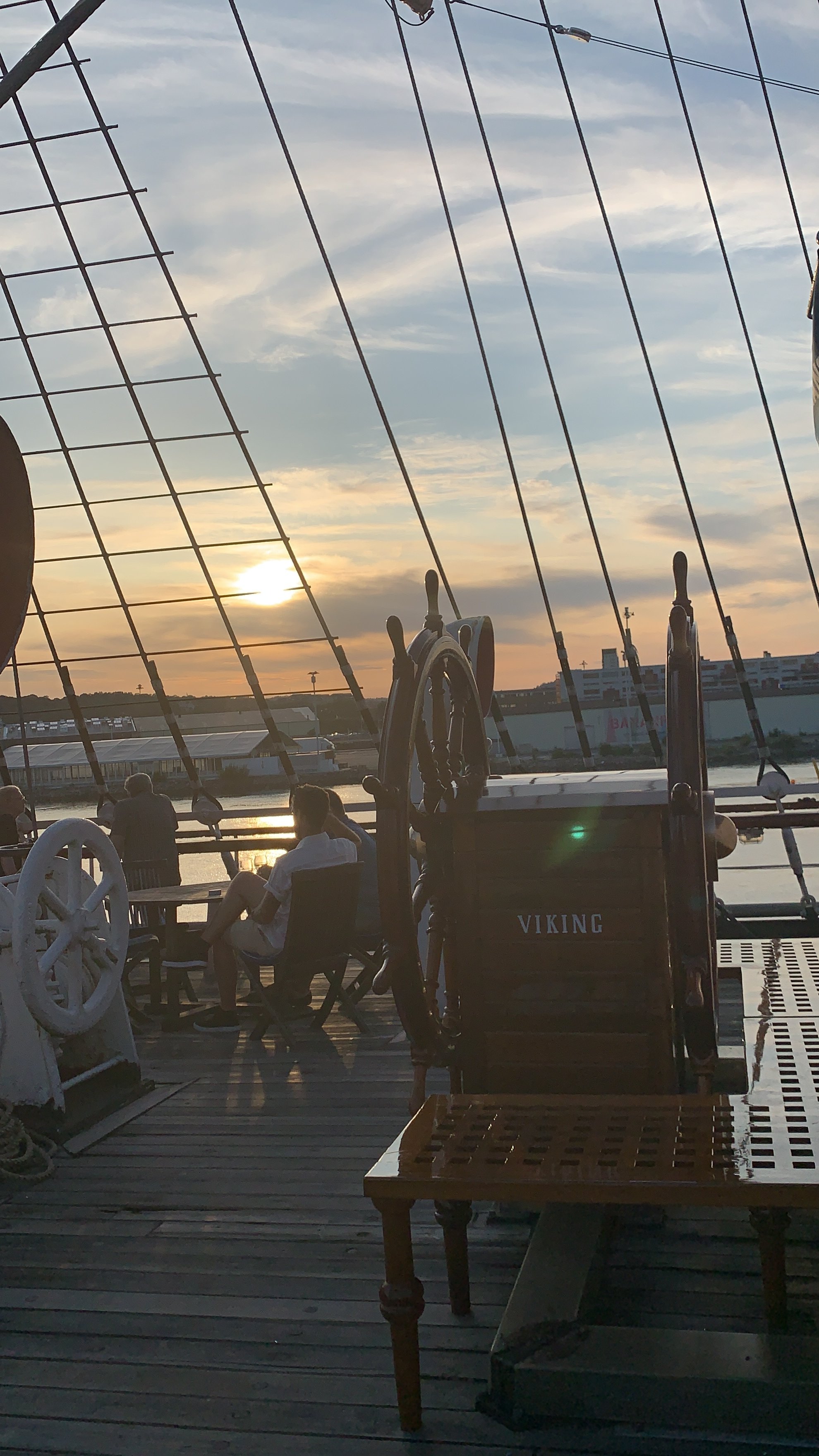 巴肯维京酒店-portrait