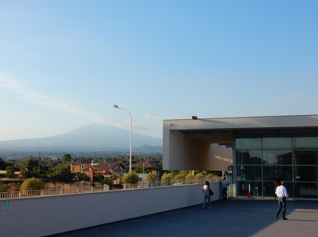 Auditorium Nelson Mandela景点图片