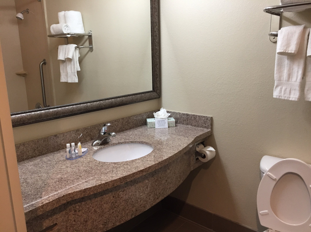 Comfort Inn and Suites主图