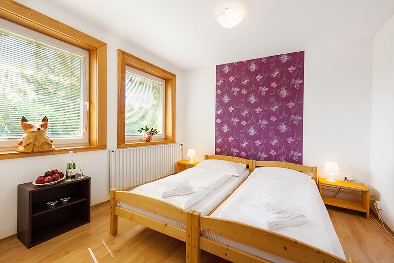 Holiday Park Vrchlabi - Lisci Farma主图