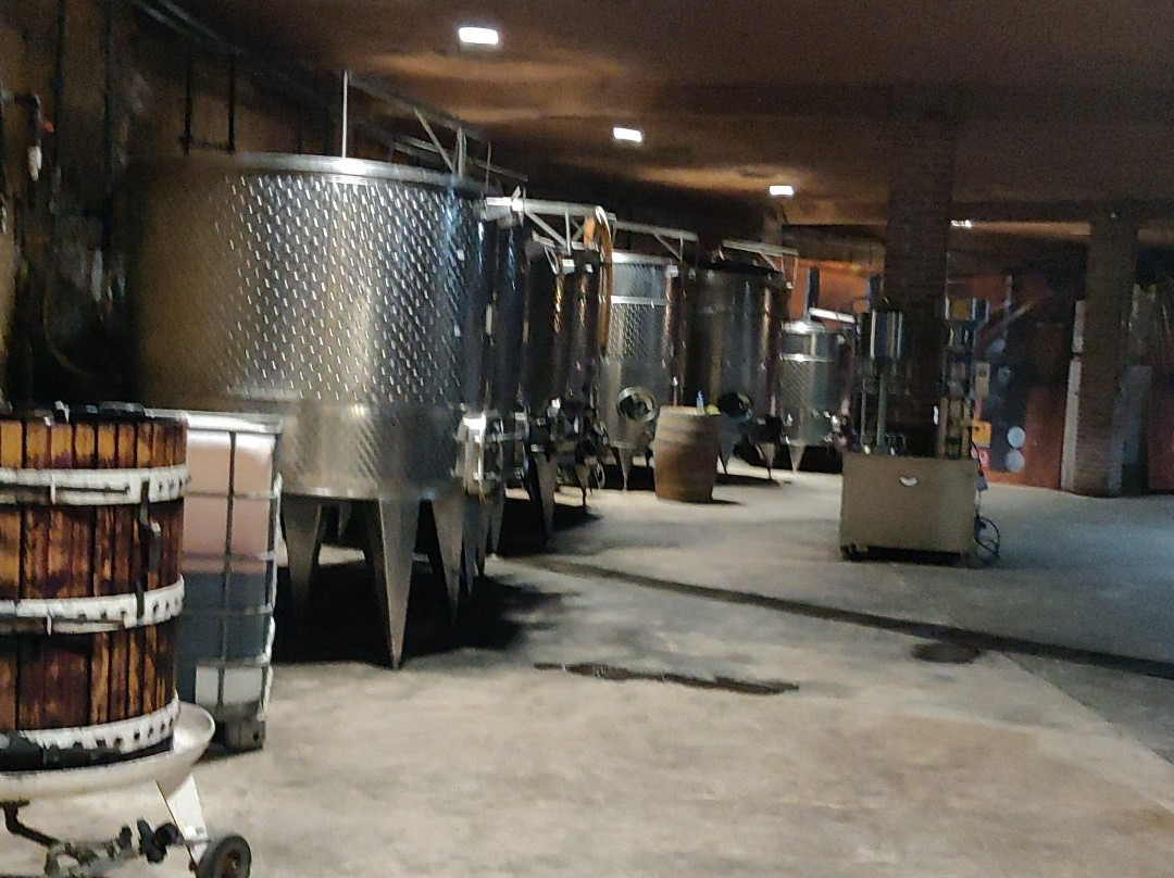 Casta De Vinos景点图片