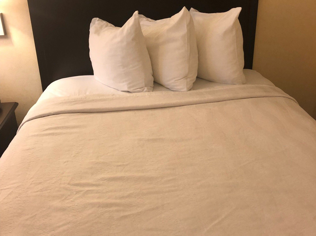 Best Western Danville Inn主图