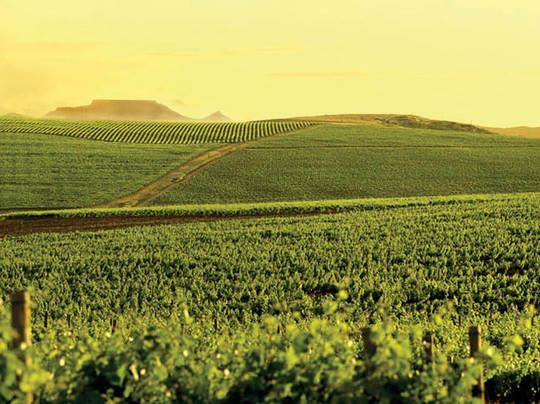 LISALOVESWINES-斯泰伦博斯必去景点