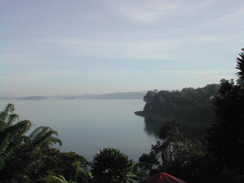 Orchids Safari Club主图