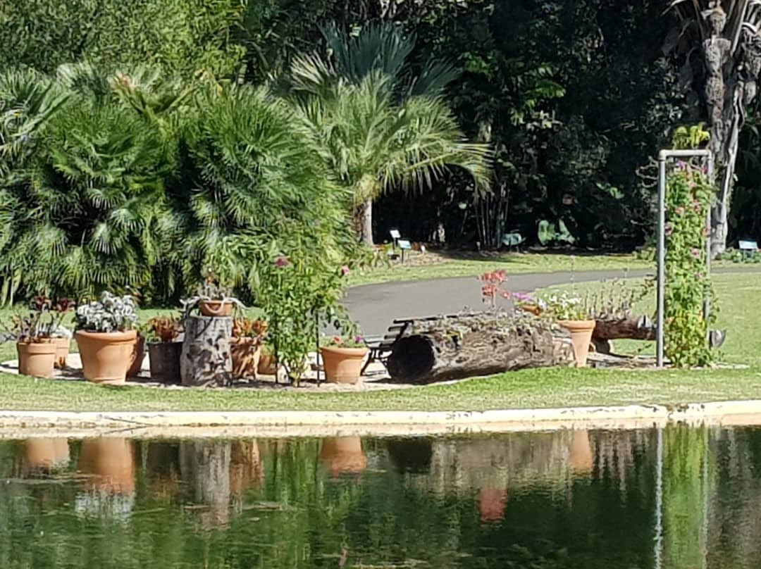 Jardim Botanico De Americana-Americana必去景点