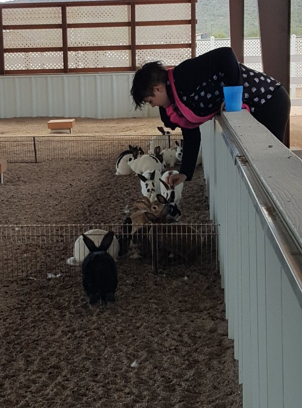 Rooster Cogburn Ostrich Ranch-Eloy必去景点