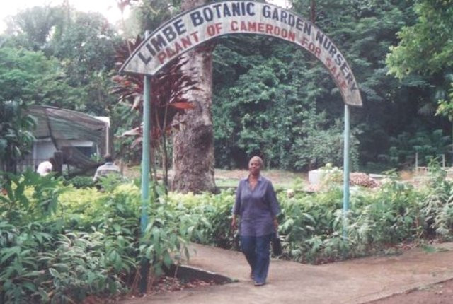 Limbe Botanic Garden景点图片