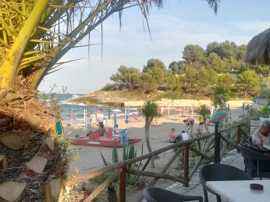 Defensola餐馆和美食-Ristorante Lido la Malva 2019