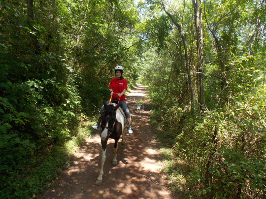 Magic Mountain Farm-温切斯特必去景点