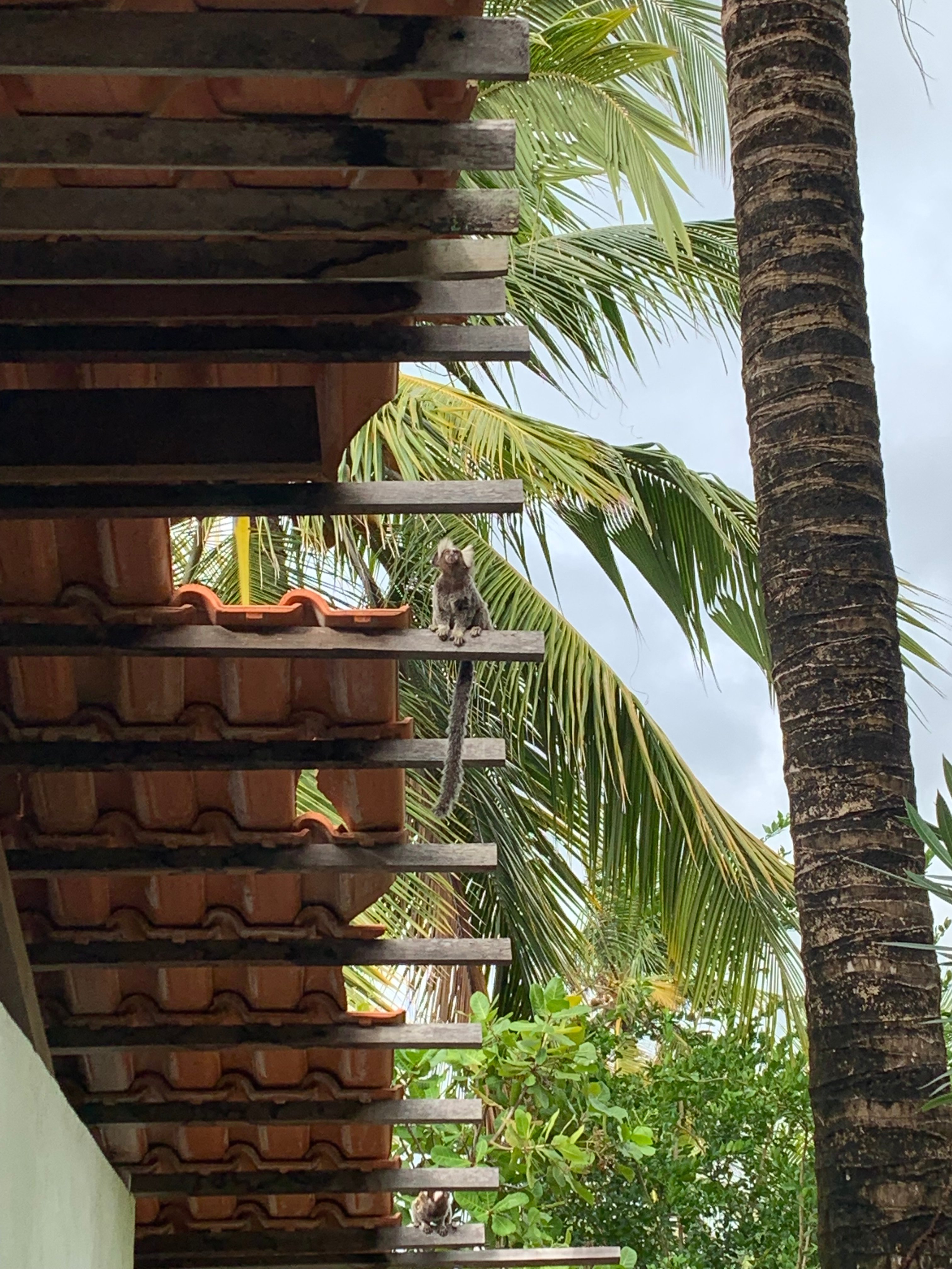 Ecolodge Batel Pousada-官方