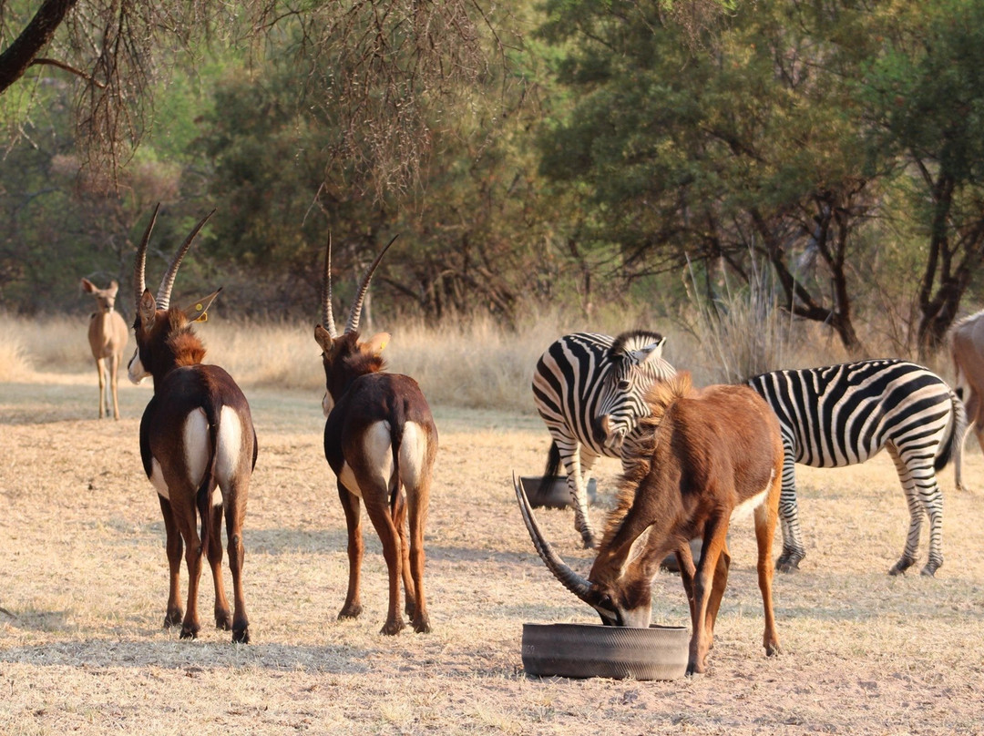 Schamach Guest Farm主图