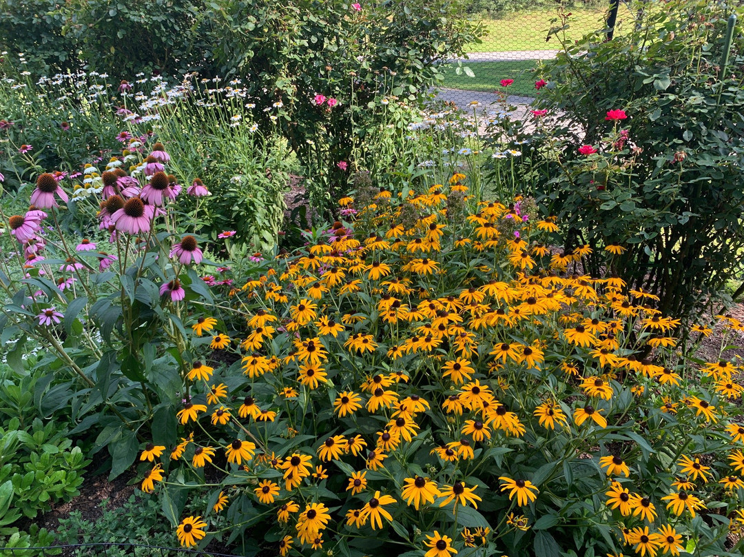 Freedom Park-威廉斯堡必去景点