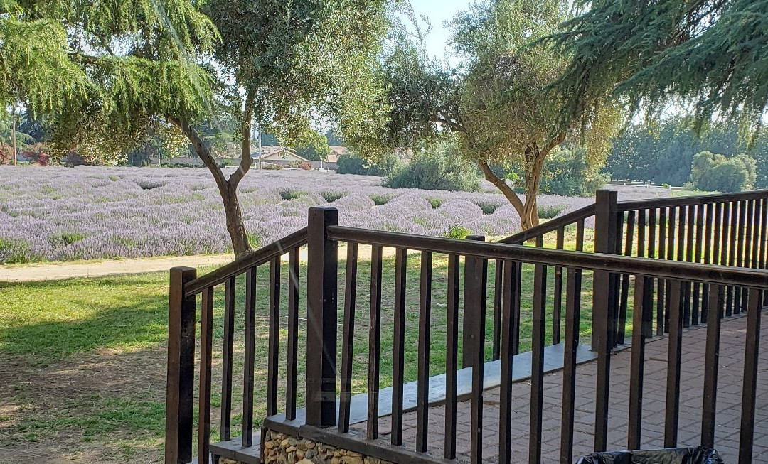 Highland Springs Resort and Conference Center主图