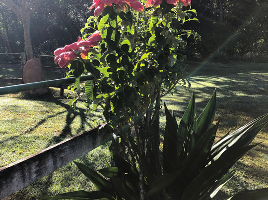 Pousada Vale dos Diamantes主图