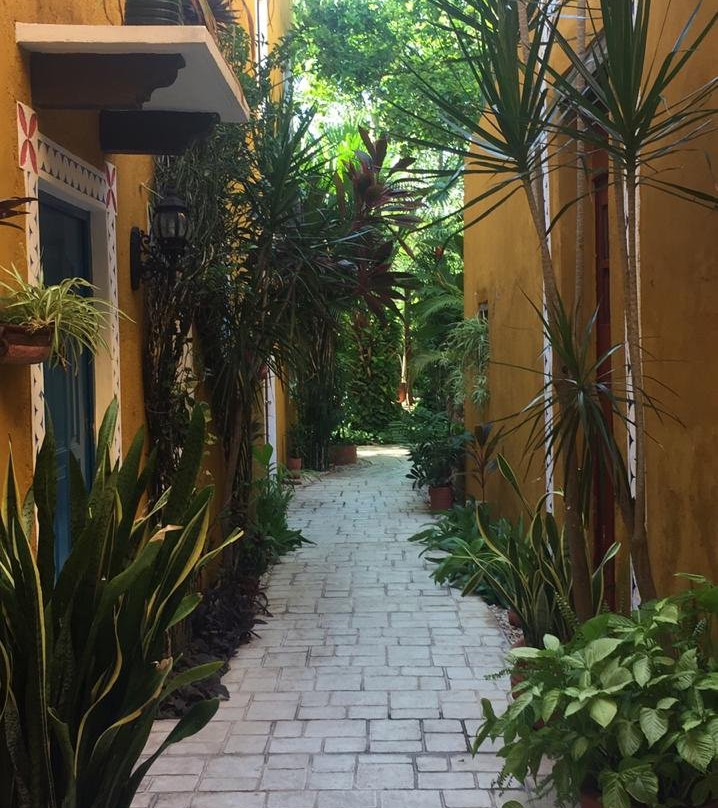 Casa Tía Micha主图