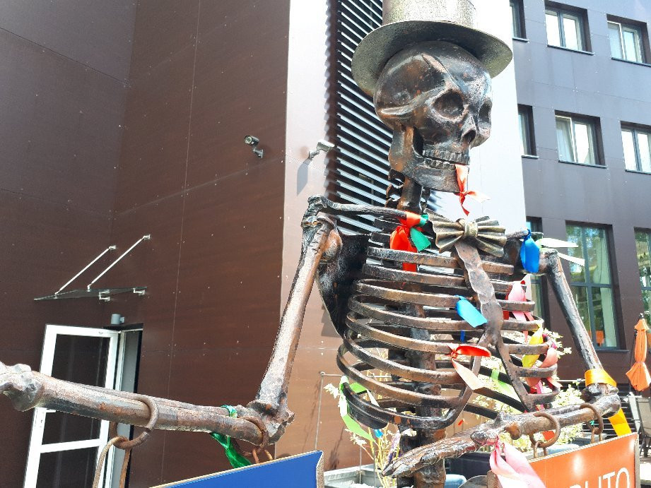 Museum of Skulls and Skeletons景点图片