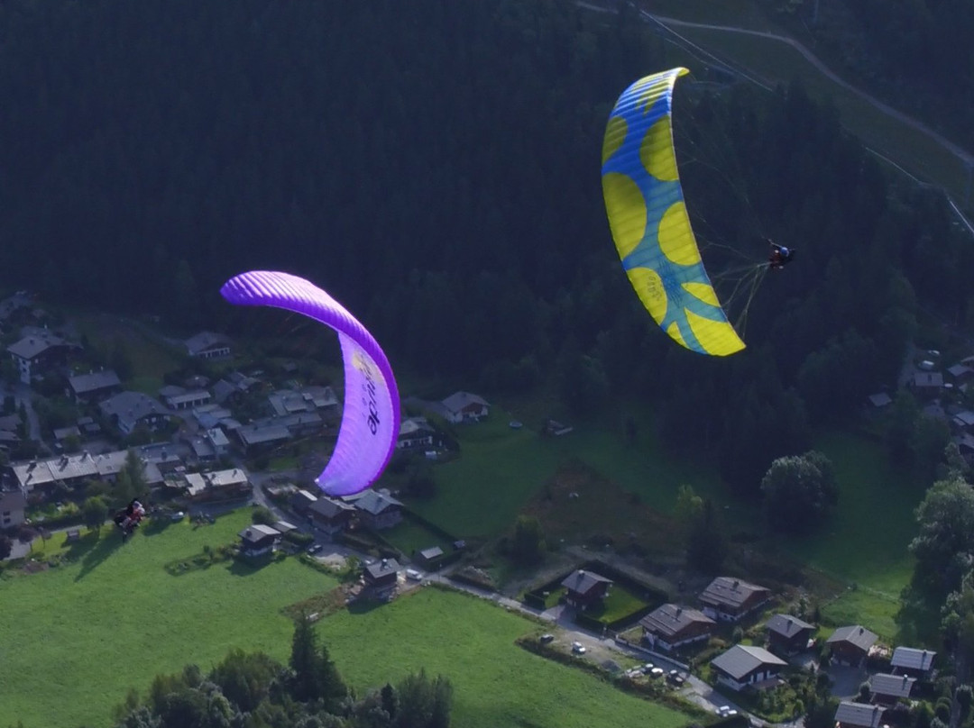 Air Sports Chamonix景点图片