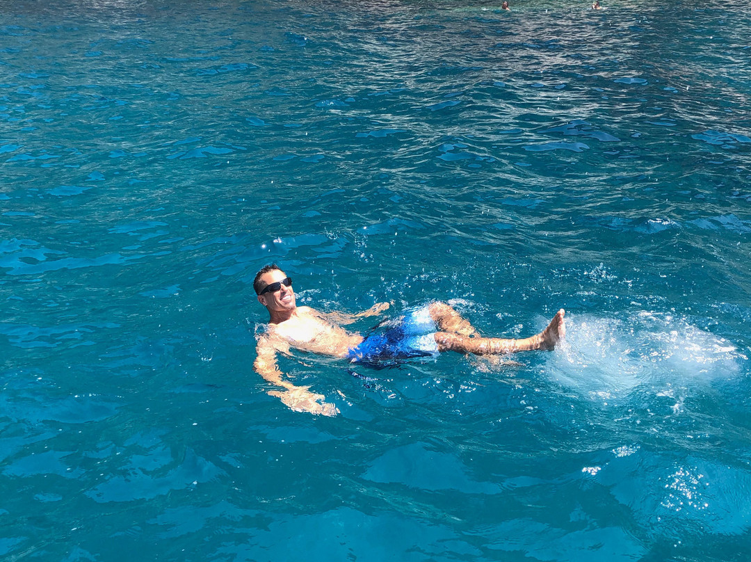 Sea Living景点图片