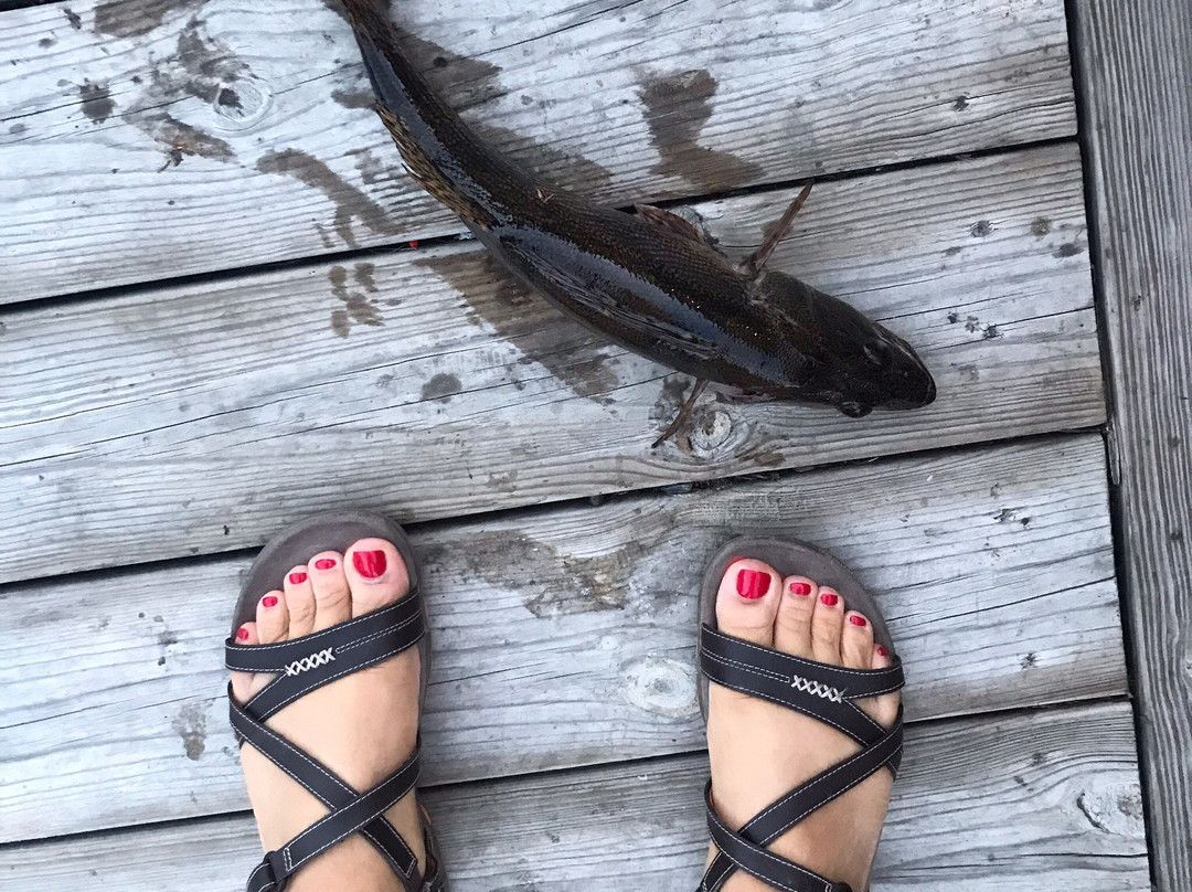 Driftwood Lodge Resort主图