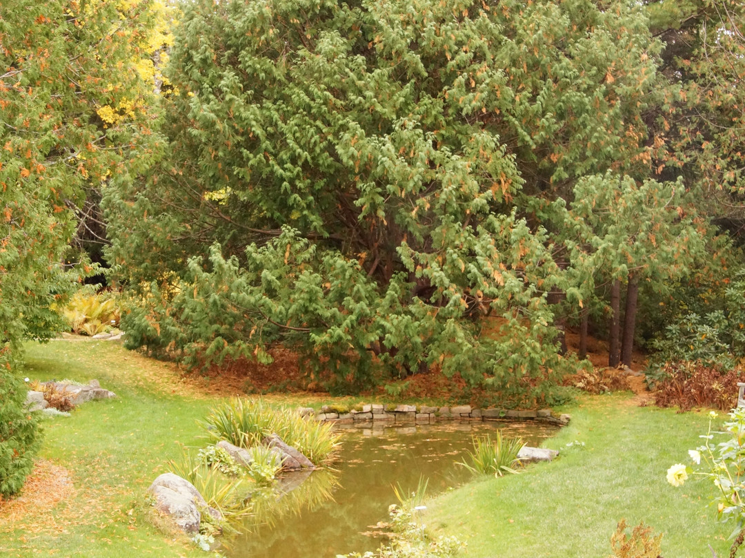 Thuya Gardens景点图片