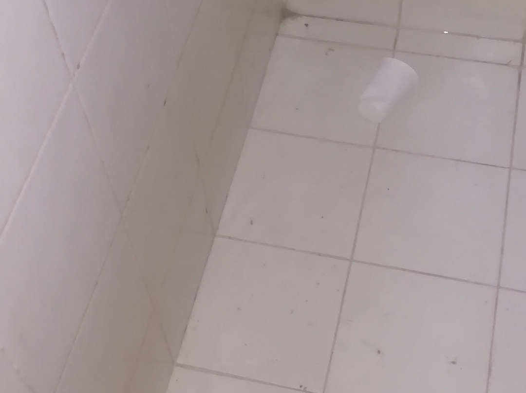 Playa Hawai-Ibague必去景点