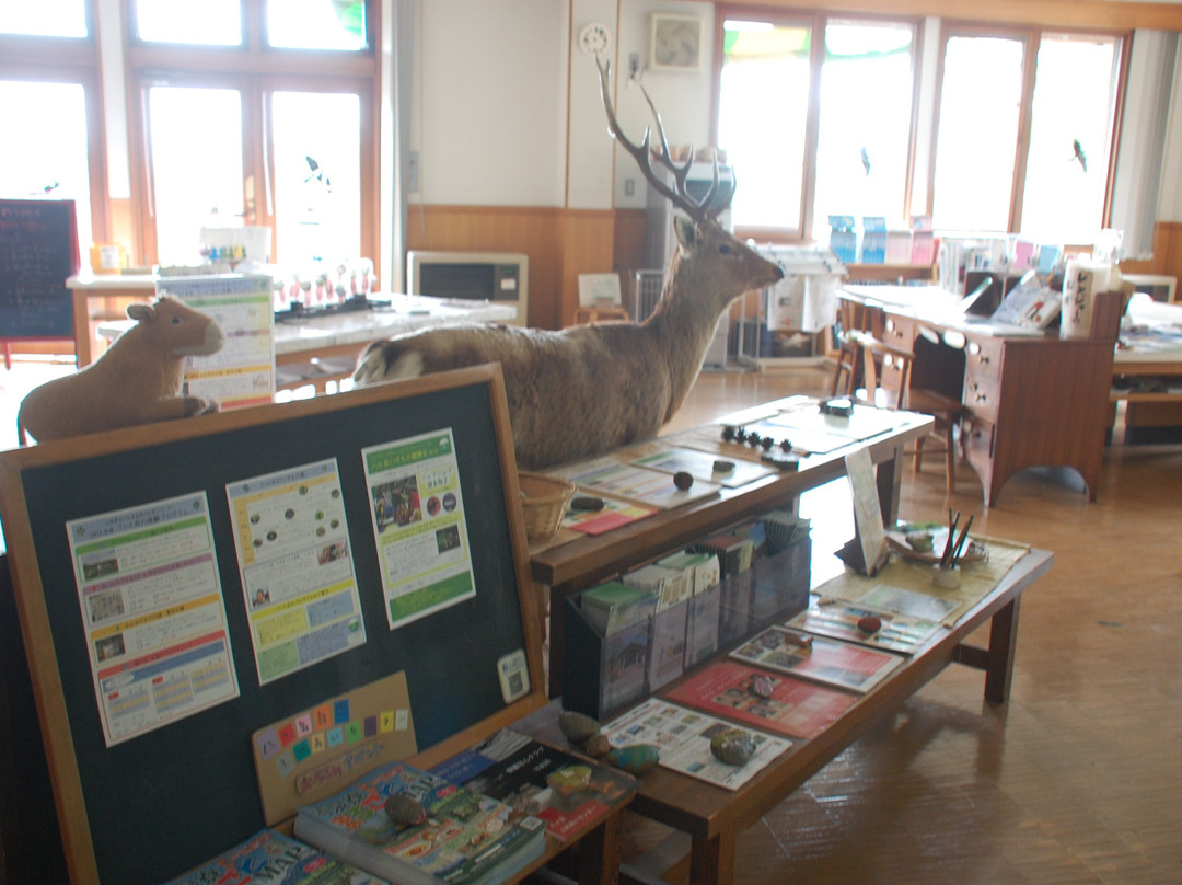 Yamanashi Prefectural Yatsugatake Shizen Fureai Center-北斗市必去景点