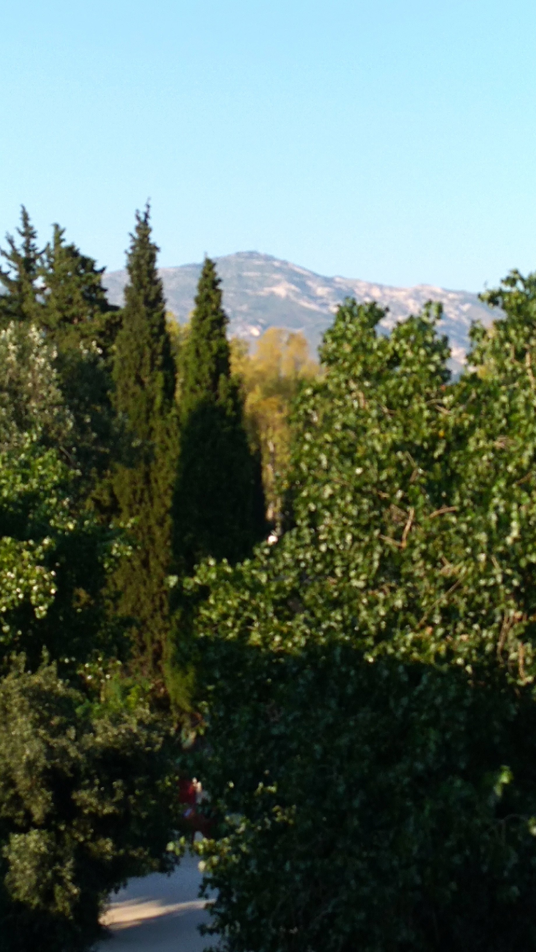 雅典海比泰特酒店-酒店景观