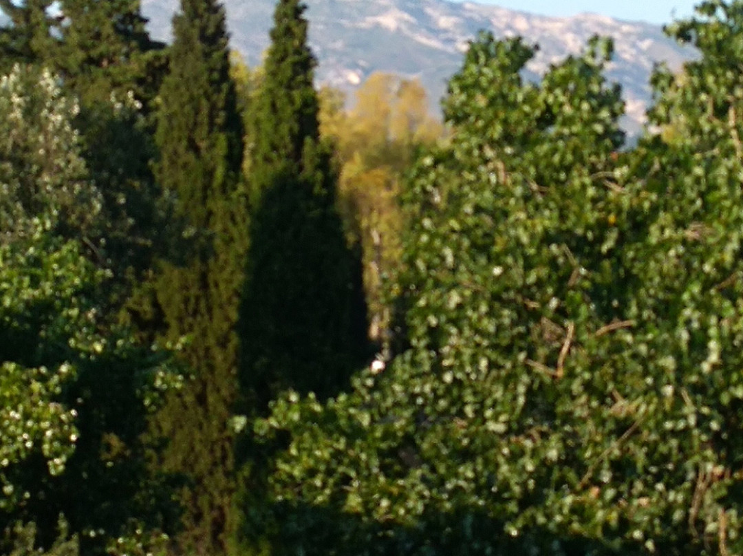 雅典海比泰特酒店主图