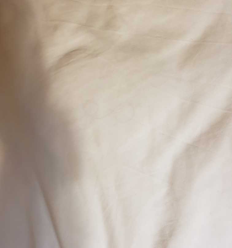 Baymont by Wyndham Jacksonville主图